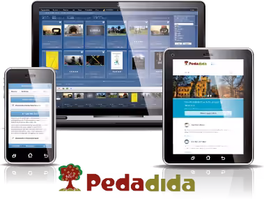 A Pedadida learning-platform presentation from the project record.